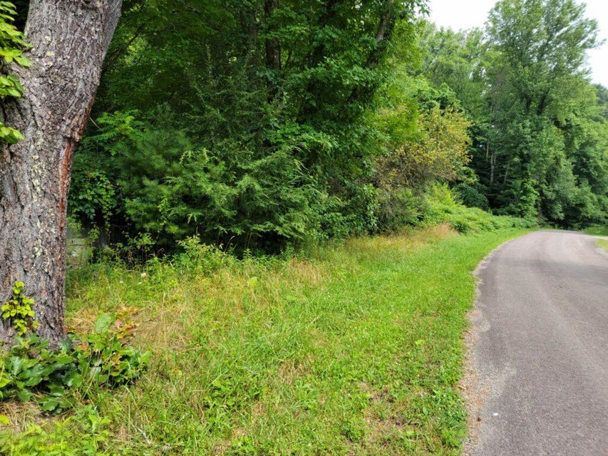 Photo #4: 1598 Shingletown Road