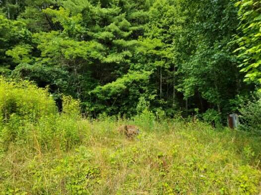 Photo #5: 1598 Shingletown Road