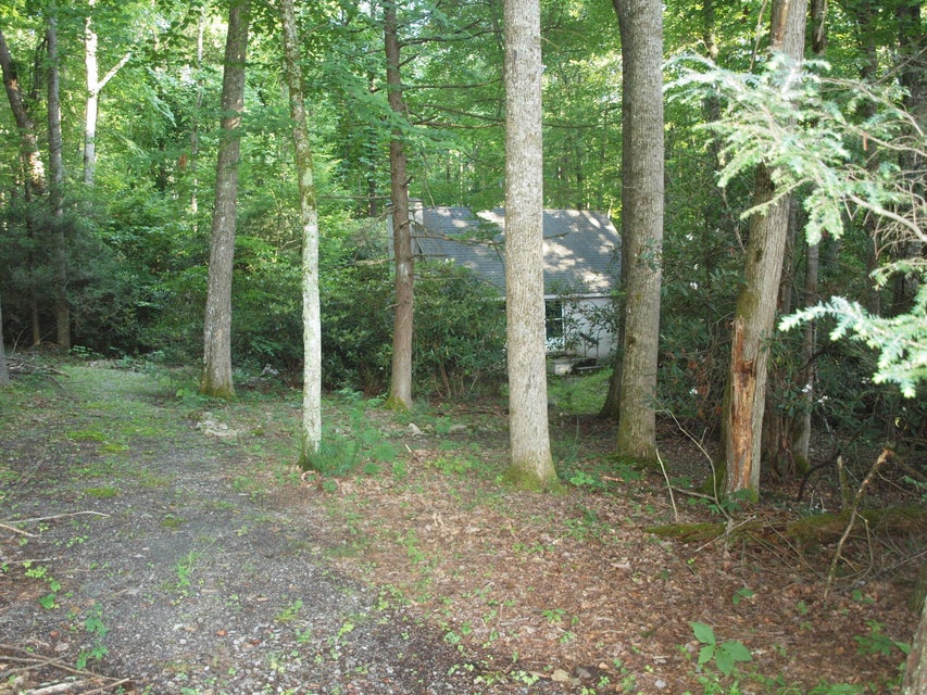 Photo #15: 17562 Burnt Cabin Trail