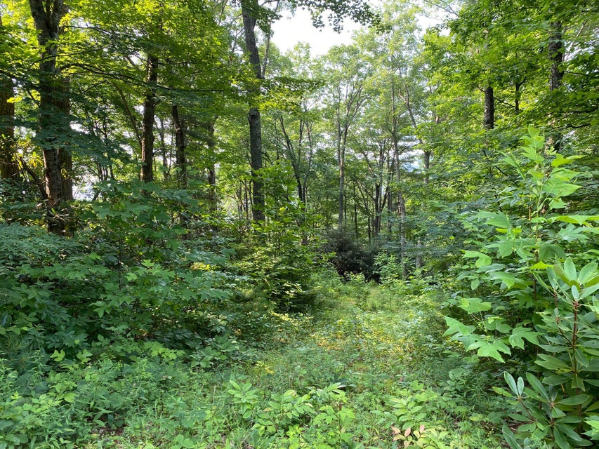Photo #3: 704 Heartwood Lane