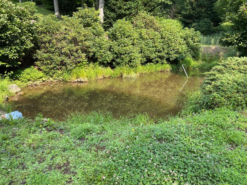 Photo #12: 704 Heartwood Lane