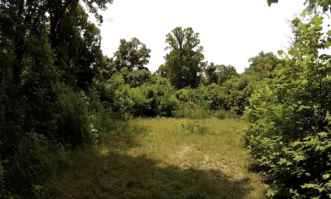 Photo #1: 1213 Mays Ridge Road