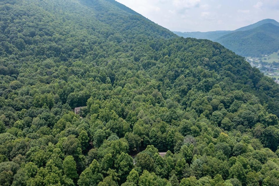 Photo #3: Lot 8 Deer Ridge Drive