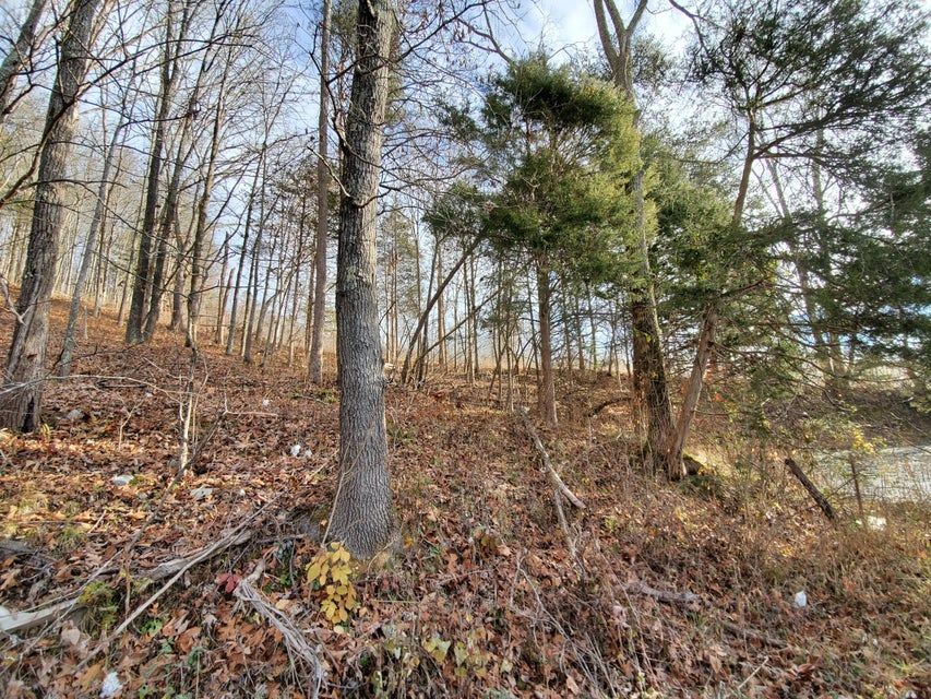 Photo #1: Tbd Raven Fork Road