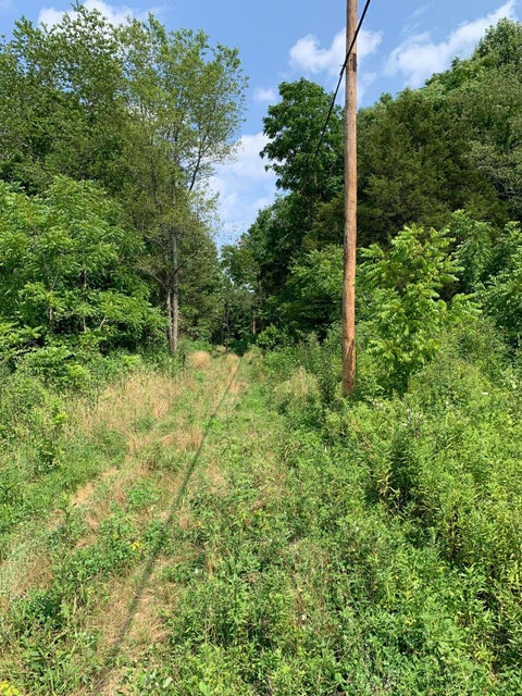 Photo #2: 00 Jeb Stuart Highway