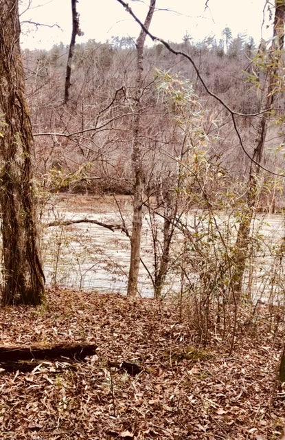 Photo #18: 0 River Crest Way