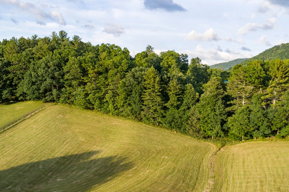 Photo #48: 205 Heaton Creek Road