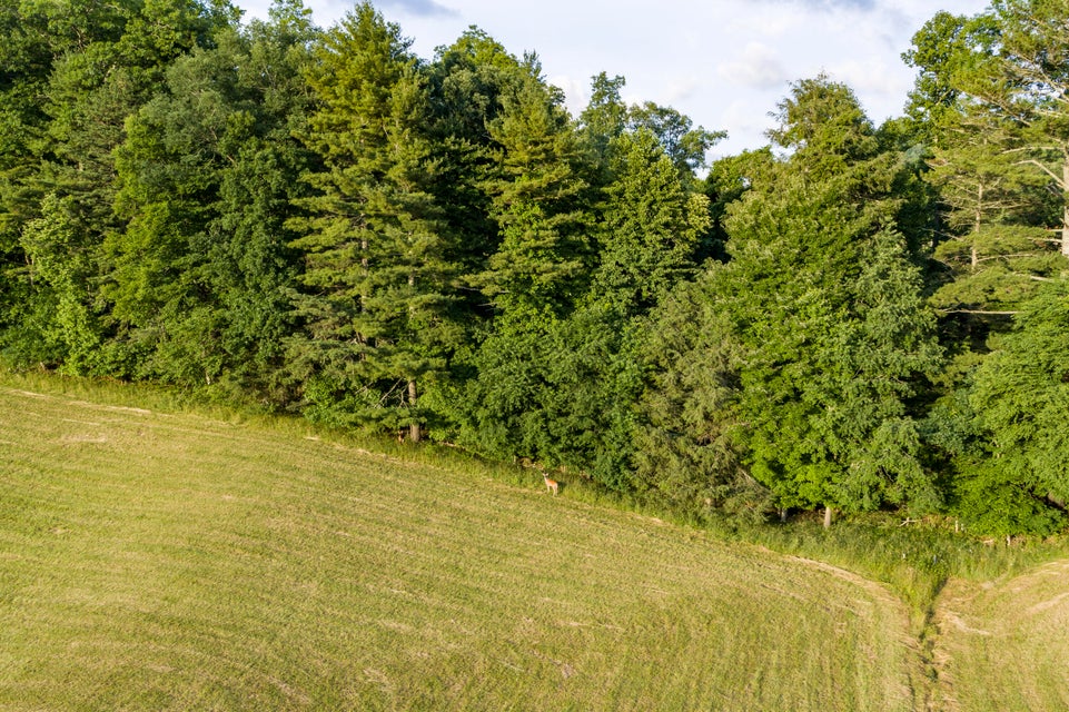 Photo #50: 205 Heaton Creek Road