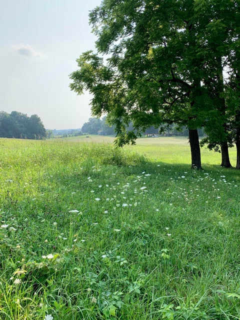 Photo #2: Lot 2 Old Shiloh Rd