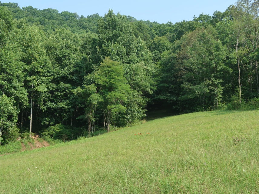 Photo #35: 1446 War Valley Rd