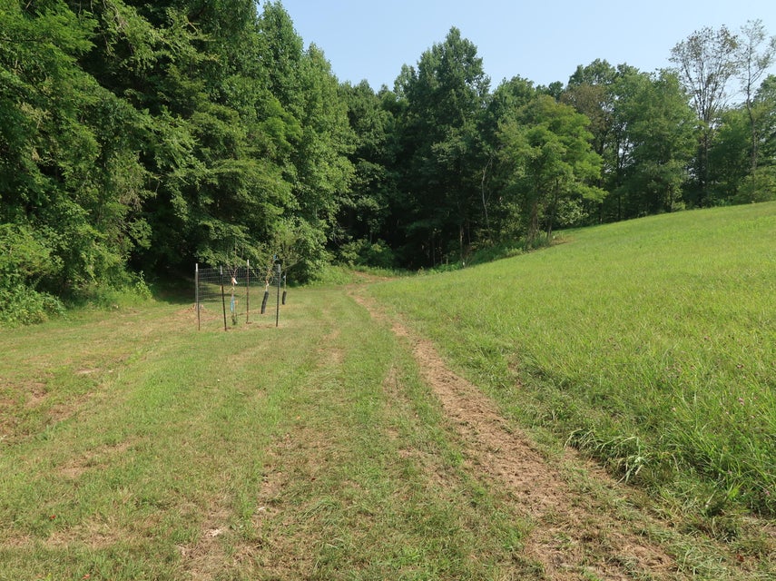 Photo #38: 1446 War Valley Rd