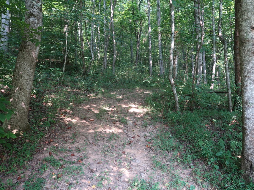 Photo #39: 1446 War Valley Rd