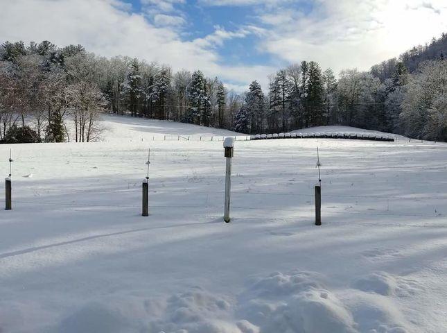 Photo #28: 205 Heaton Creek Road