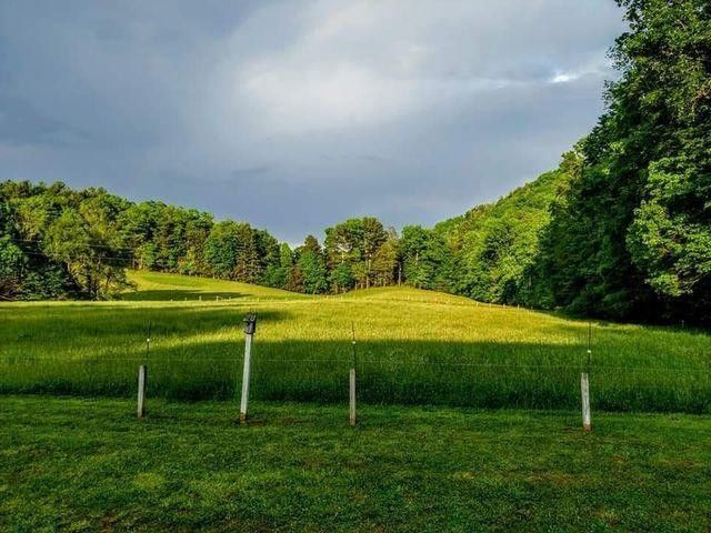 Photo #25: 205 Heaton Creek Road