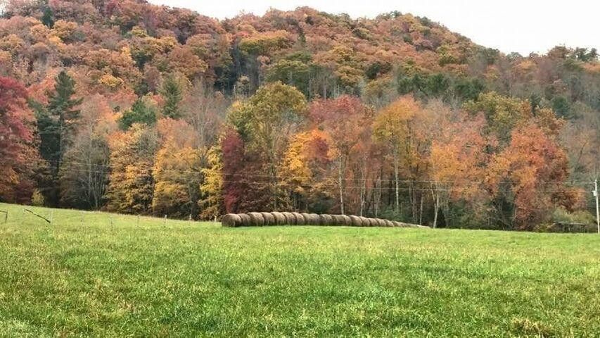 Photo #26: 205 Heaton Creek Road