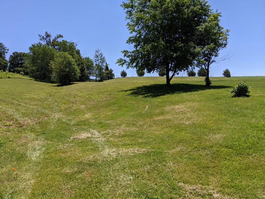 Photo #3: 4250, 4270 Chuckey Pike