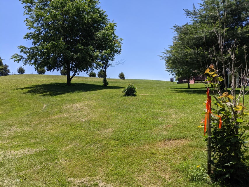 Photo #4: 4250, 4270 Chuckey Pike