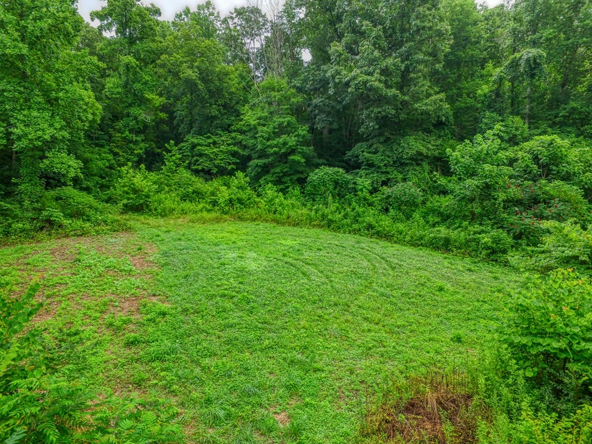 Photo #2: 00 Big Branch Road