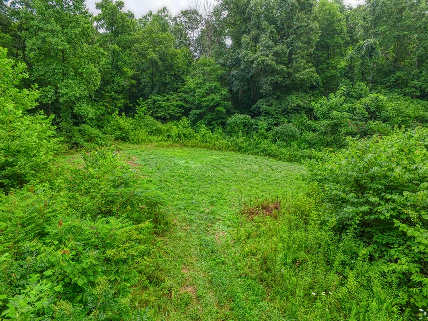 Photo #4: 00 Big Branch Road