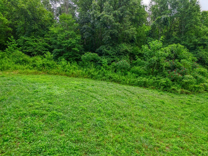 Photo #5: 00 Big Branch Road