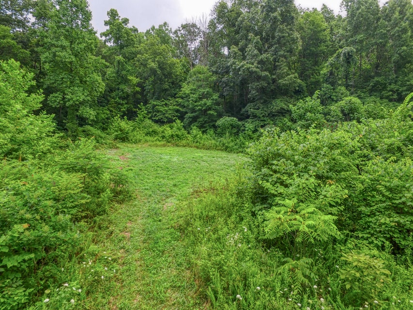 Photo #13: 00 Big Branch Road