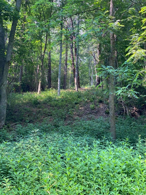 Photo #12: 22 W Of Dry Hill Rd Tn
