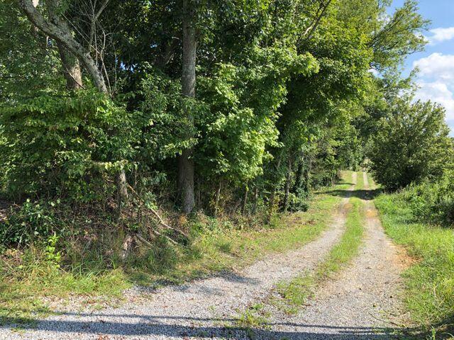 Photo #2: 190 Treadway Road