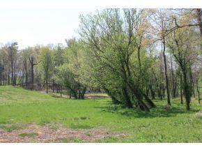 Photo #4: 190 Treadway Road