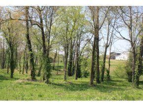 Photo #6: 190 Treadway Road