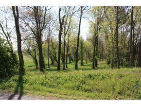 Photo #7: 190 Treadway Road
