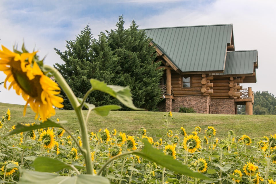 Photo #4: 26289 Harrison Road