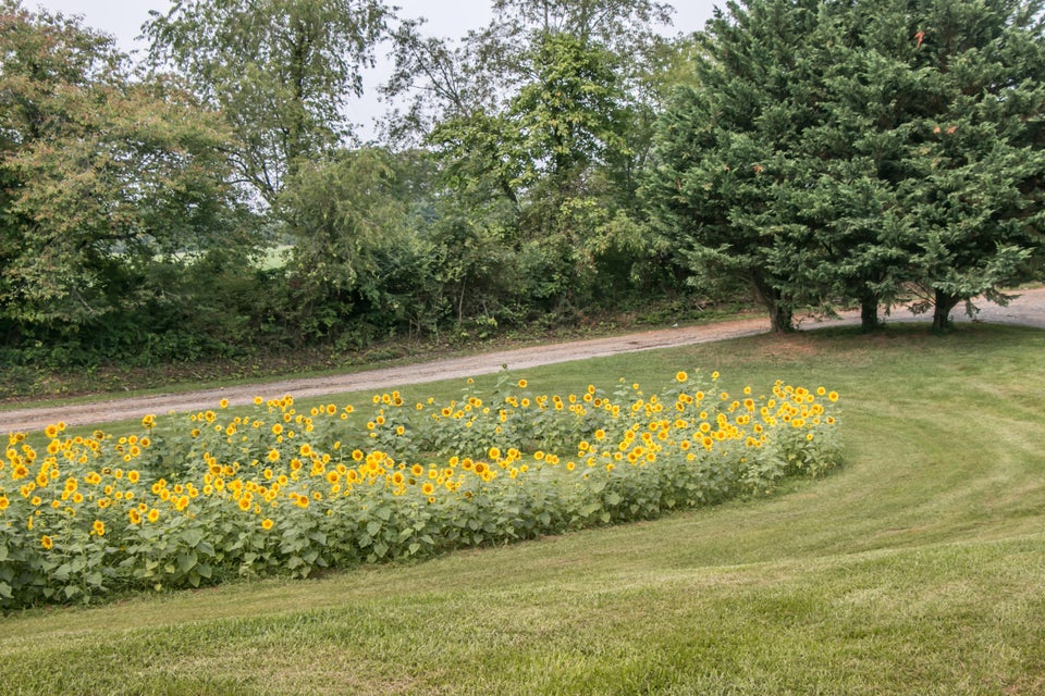 Photo #42: 26289 Harrison Road