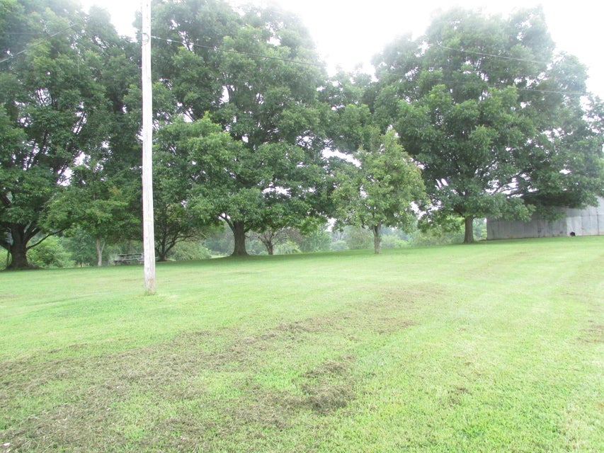 Photo #36: 130 Banks Road