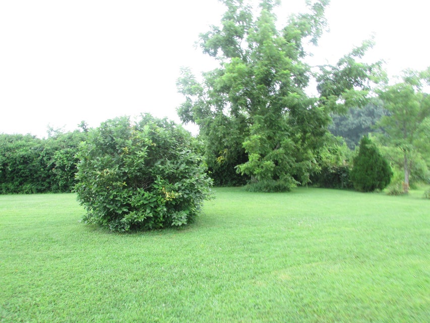 Photo #39: 130 Banks Road