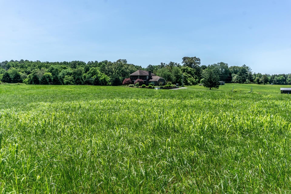 Photo #7: 00 Sugar Cane Lane