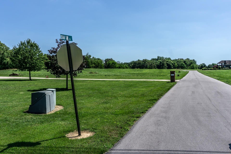 Photo #14: 00 Sugar Cane Lane