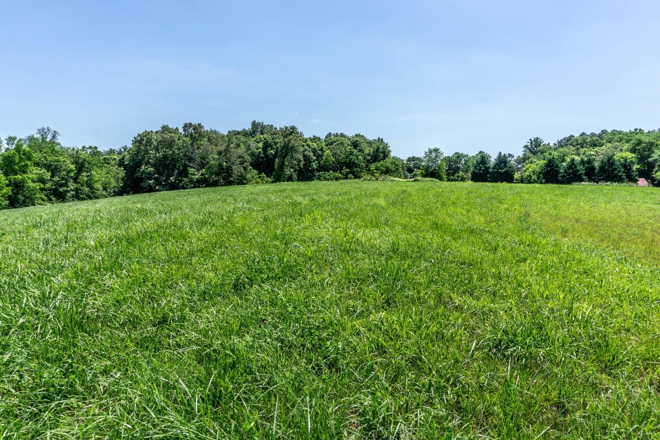 Photo #4: 00 Sugar Cane Lane