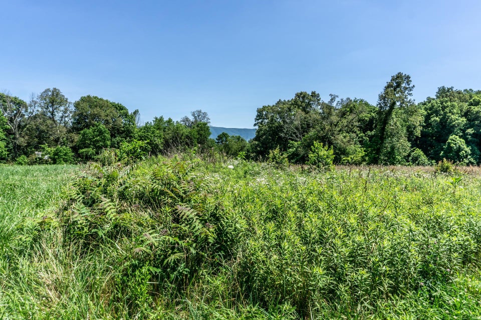 Photo #12: 00 Sugar Cane Lane
