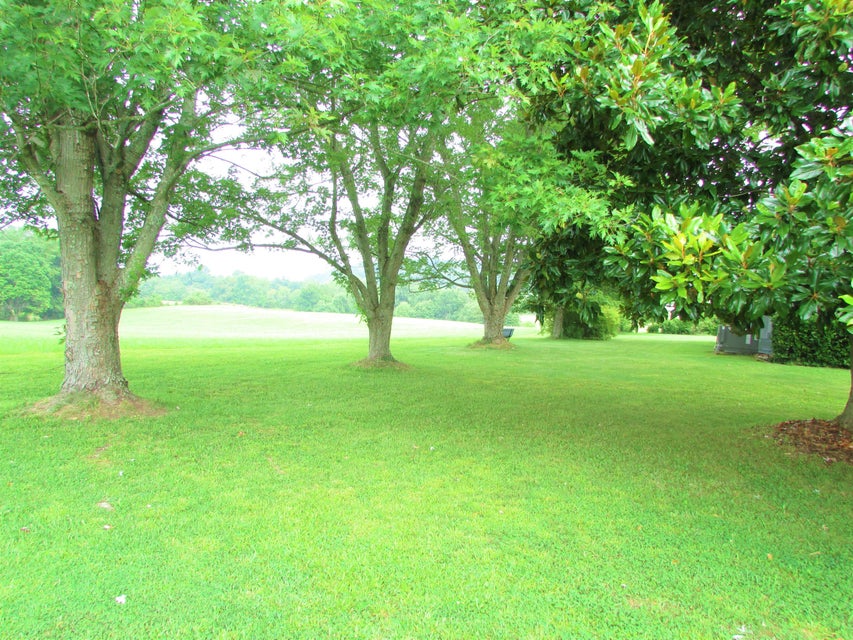 Photo #19: 130 Banks Road