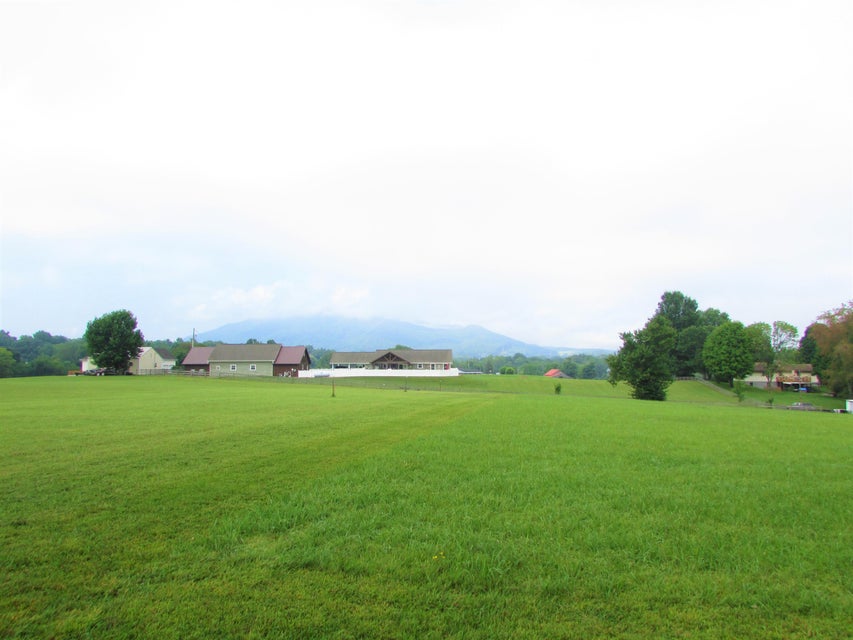 Photo #23: 130 Banks Road