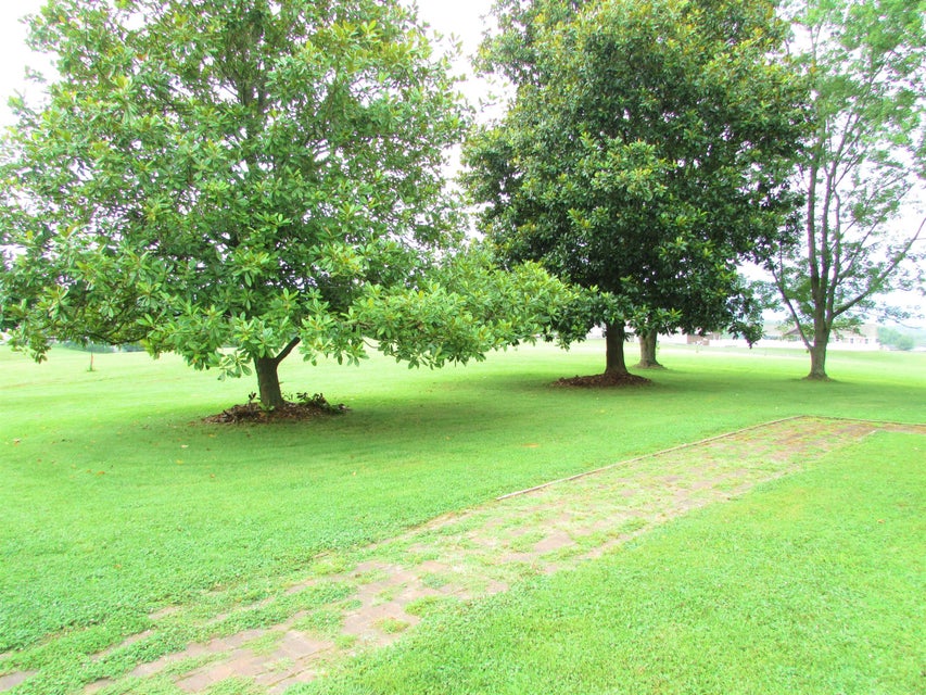 Photo #24: 130 Banks Road