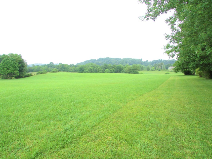 Photo #28: 130 Banks Road