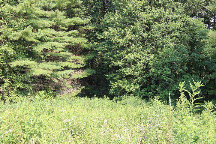 Photo #2: 000 Laurel Way, Lot #57