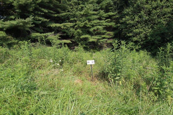 Photo #1: 000 Laurel Way, Lot #57