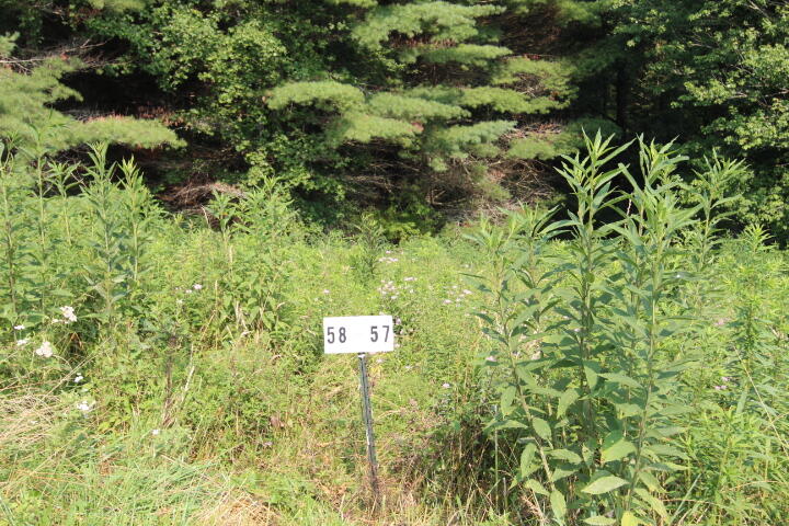 Photo #3: 000 Laurel Way, Lot #58