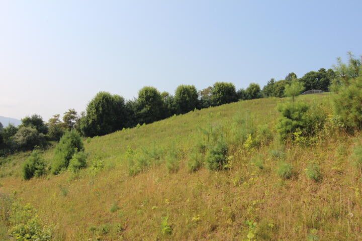 Photo #1: 000 Laurel Way, Lot #53