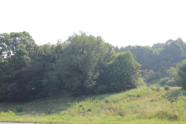 Photo #1: 000 Laurelwood Lane, Lot #65