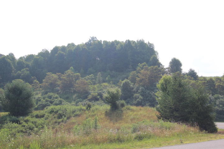 Photo #5: 000 Laurelwood Lane, Lot #65
