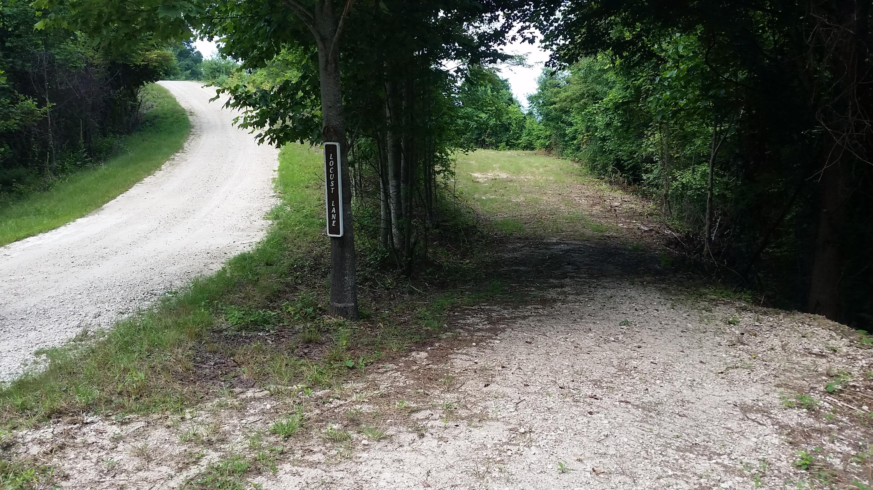Photo #28: 1012 Locust Lane