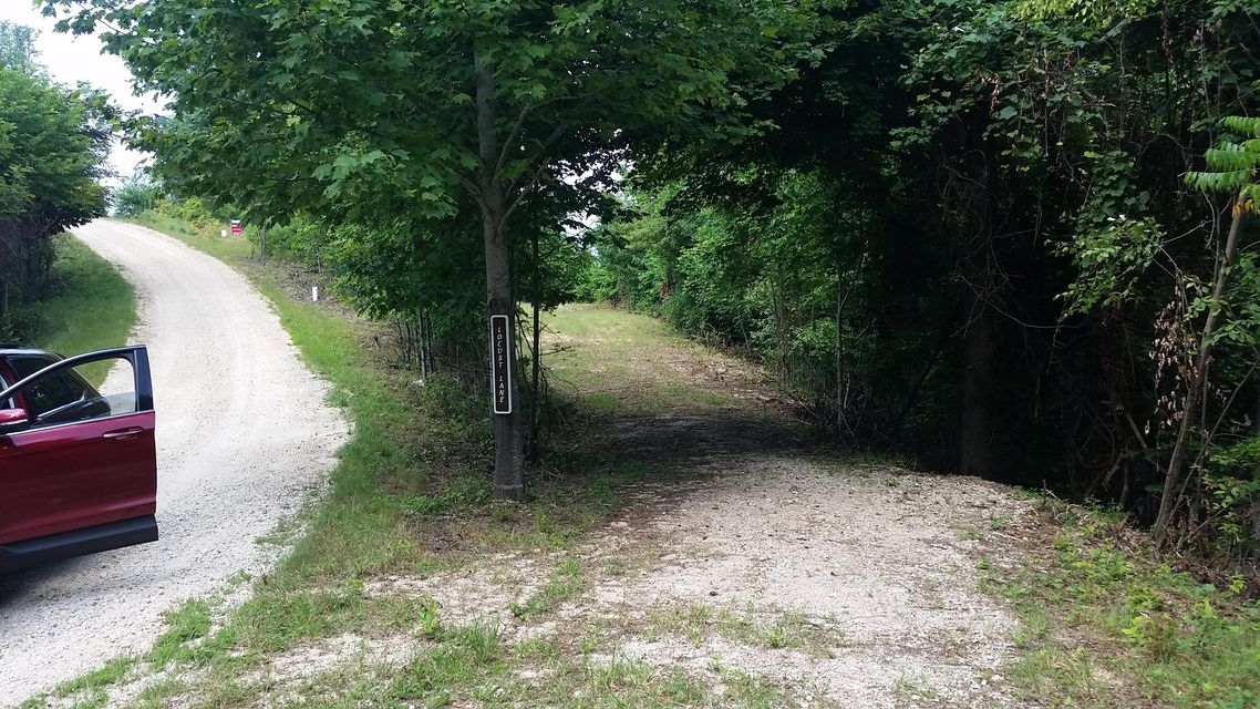 Photo #30: 1012 Locust Lane